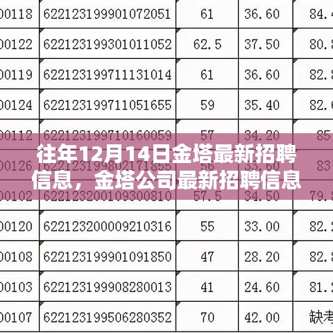 金塔公司最新招聘动态揭秘，历年12月14日岗位概览与招聘信息更新速递