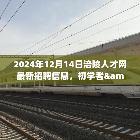 2024年涪陵人才网招聘指南，最新招聘信息，初学者与进阶用户必备资讯