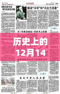 历史上的12月14日南阳双创最新消息全解析，初学者与进阶指南