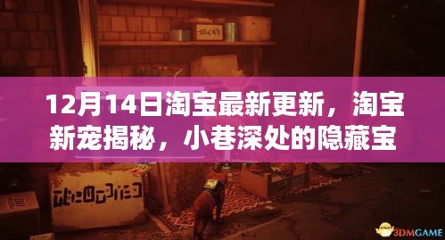 淘宝独家探秘，揭秘最新更新中的隐藏宝藏——淘宝新宠与小巷深处的秘密