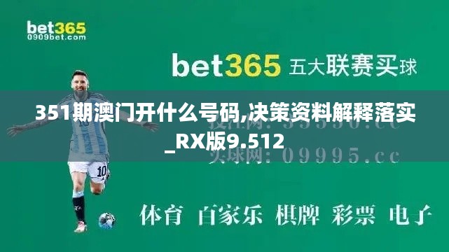 351期澳门开什么号码,决策资料解释落实_RX版9.512