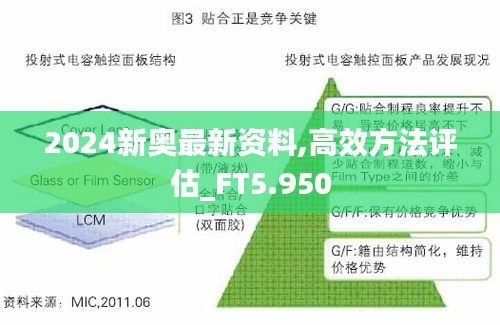 2024新奥最新资料,高效方法评估_FT5.950