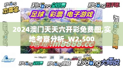 2024澳门天天六开彩免费图,实地考察分析_W2.500