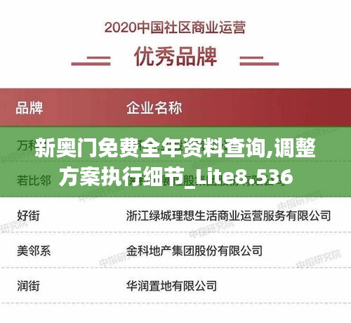 新奥门免费全年资料查询,调整方案执行细节_Lite8.536