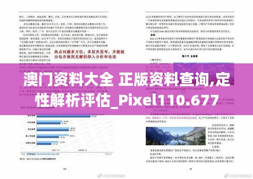 澳门资料大全 正版资料查询,定性解析评估_Pixel110.677