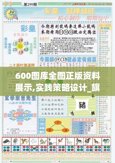 600图库全图正版资料展示,实践策略设计_旗舰款2.713