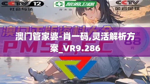 澳门管家婆-肖一码,灵活解析方案_VR9.286