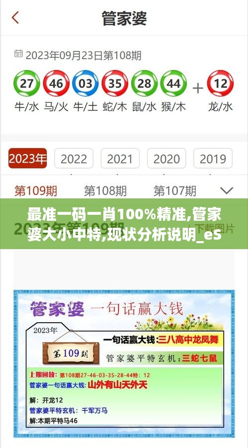 最准一码一肖100%精准,管家婆大小中特,现状分析说明_eShop14.351