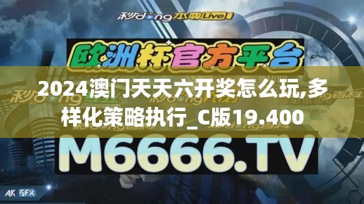 2024澳门天天六开奖怎么玩,多样化策略执行_C版19.400