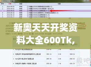 新奥天天开奖资料大全600Tk,实时解答解析说明_专属款1.840