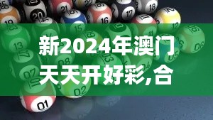 新2024年澳门天天开好彩,合理决策评审_MT1.586