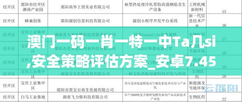 澳门一码一肖一特一中Ta几si,安全策略评估方案_安卓7.454