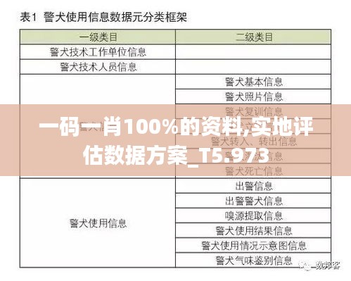 一码一肖100%的资料,实地评估数据方案_T5.973