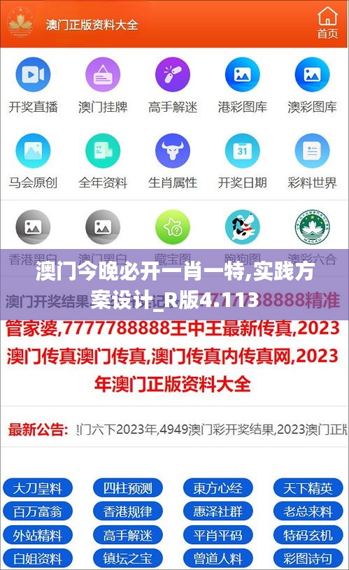 澳门今晚必开一肖一特,实践方案设计_R版4.113