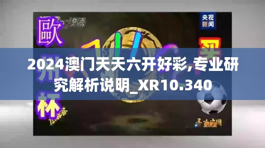 2024澳门天天六开好彩,专业研究解析说明_XR10.340