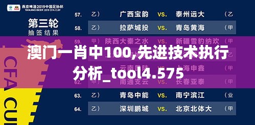 澳门一肖中100,先进技术执行分析_tool4.575