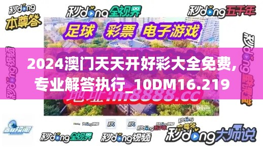 2024澳门天天开好彩大全免费,专业解答执行_10DM16.219