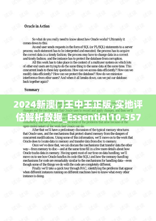 2024新澳门王中王正版,实地评估解析数据_Essential10.357