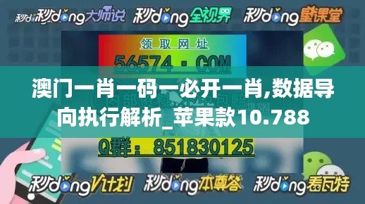 澳门一肖一码一必开一肖,数据导向执行解析_苹果款10.788