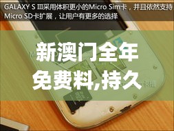 新澳门全年免费料,持久设计方案_Galaxy2.287