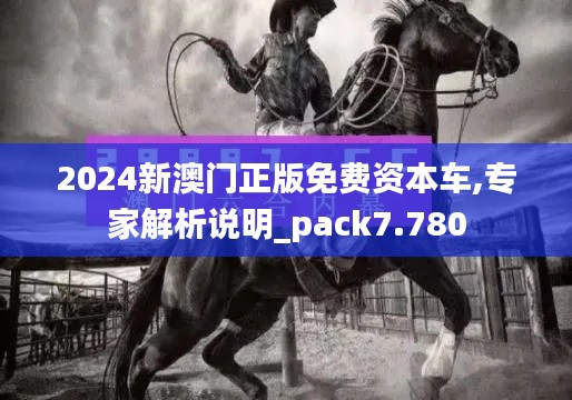 2024新澳门正版免费资本车,专家解析说明_pack7.780