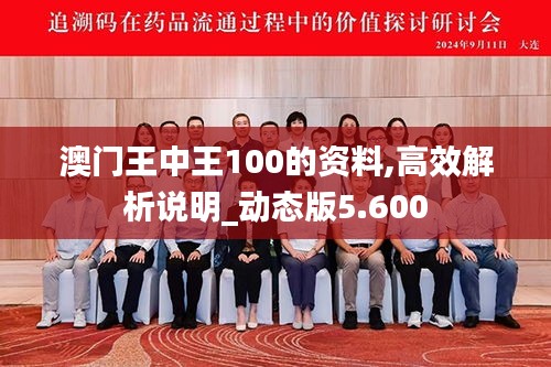 澳门王中王100的资料,高效解析说明_动态版5.600