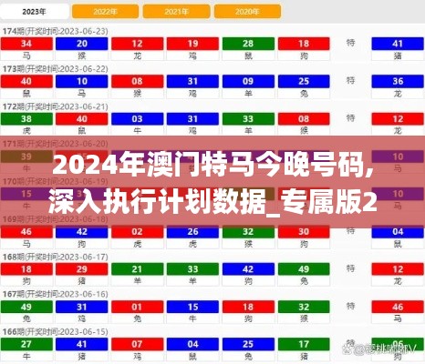 2024年澳门特马今晚号码,深入执行计划数据_专属版2.989