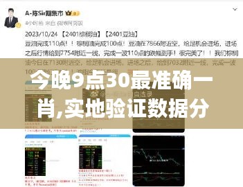 今晚9点30最准确一肖,实地验证数据分析_定制版4.726