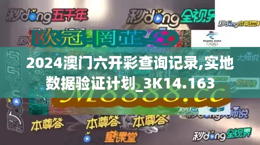 2024澳门六开彩查询记录,实地数据验证计划_3K14.163