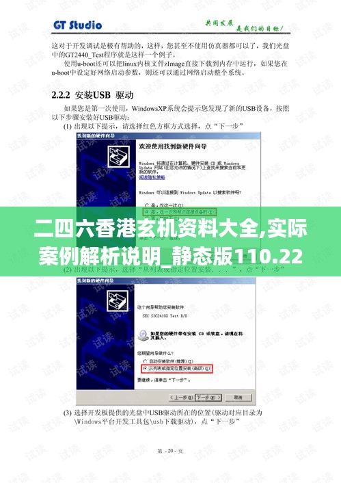 二四六香港玄机资料大全,实际案例解析说明_静态版110.229