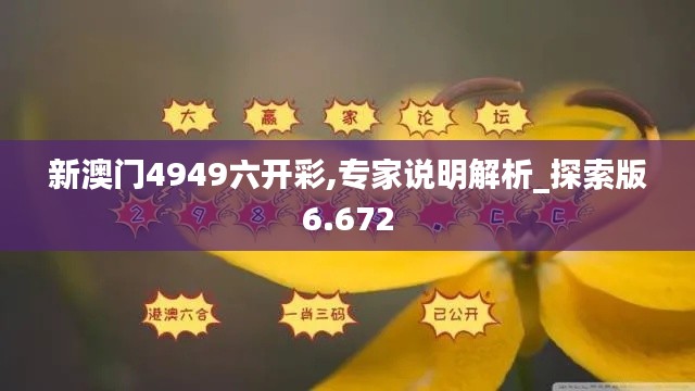 新澳门4949六开彩,专家说明解析_探索版6.672