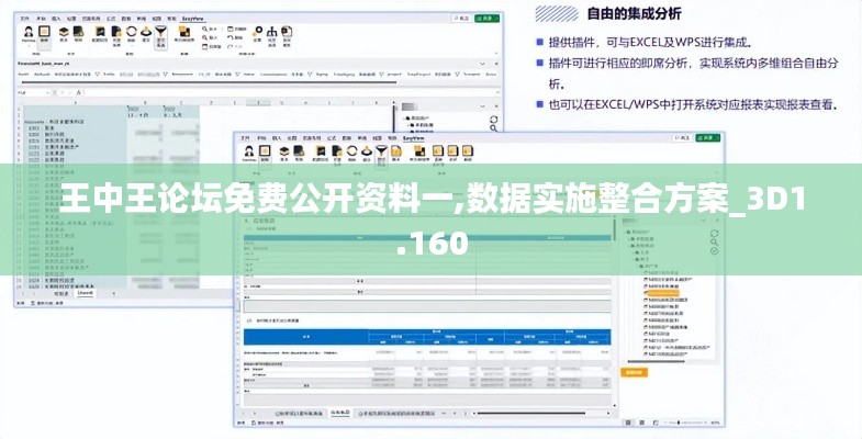 王中王论坛免费公开资料一,数据实施整合方案_3D1.160