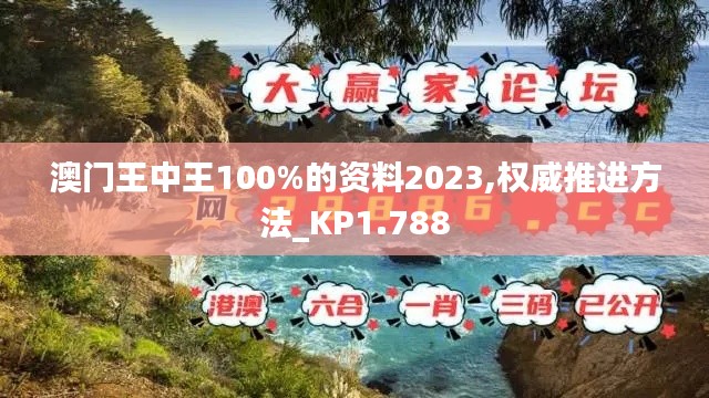 澳门王中王100%的资料2023,权威推进方法_KP1.788