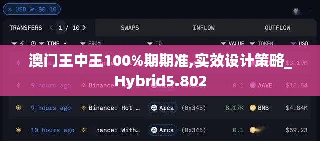 澳门王中王100%期期准,实效设计策略_Hybrid5.802