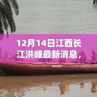 江西长江洪峰监测，智能系统体验报告——12月14日最新消息