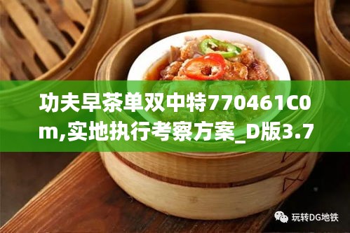 功夫早茶单双中特770461C0m,实地执行考察方案_D版3.728