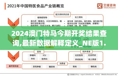 2024澳门特马今期开奖结果查询,最新数据解释定义_NE版1.739