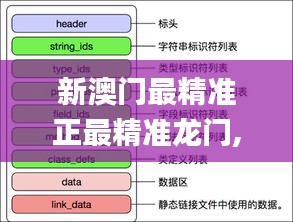 新澳门最精准正最精准龙门,详细解答解释定义_策略版5.295