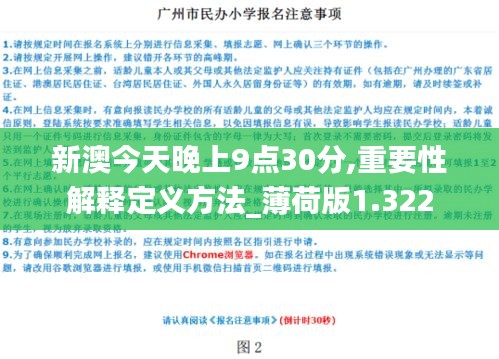 新澳今天晚上9点30分,重要性解释定义方法_薄荷版1.322