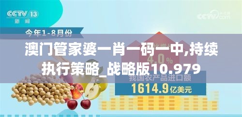 澳门管家婆一肖一码一中,持续执行策略_战略版10.979