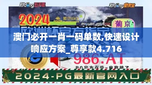 2024年12月17日 第20页