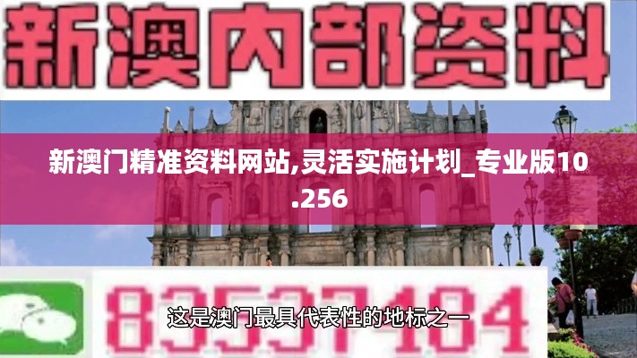 新澳门精准资料网站,灵活实施计划_专业版10.256