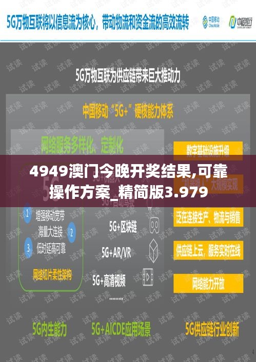 4949澳门今晚开奖结果,可靠操作方案_精简版3.979