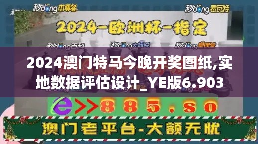 2024澳门特马今晚开奖图纸,实地数据评估设计_YE版6.903