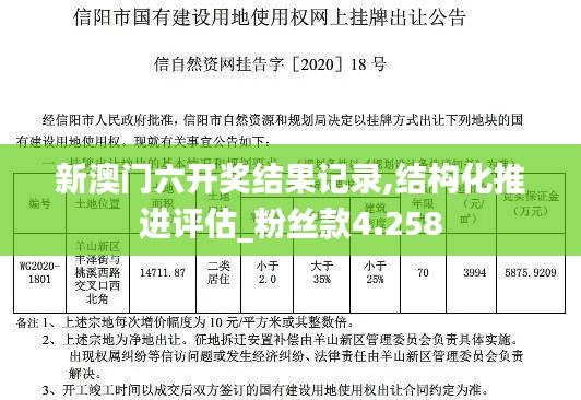 2024年12月17日 第15页