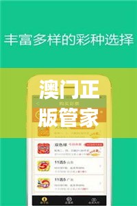 澳门正版管家婆资料大全,迅捷解答问题处理_7DM15.928