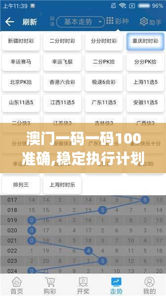 澳门一码一码100准确,稳定执行计划_限量款3.866