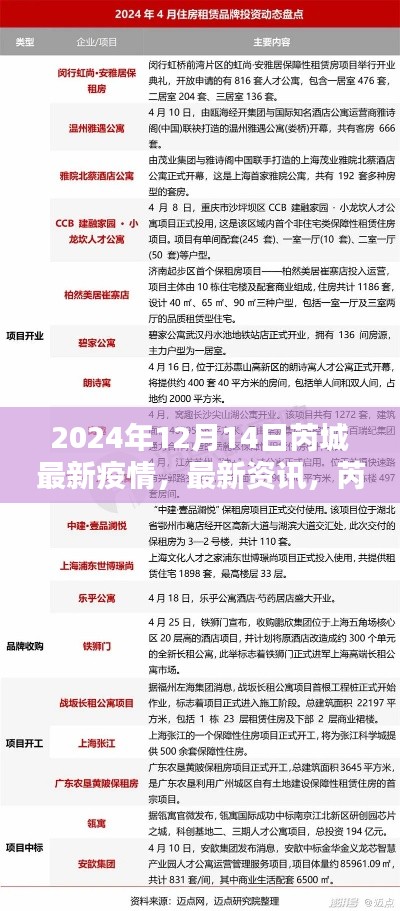 2024年12月14日芮城疫情最新动态与资讯更新