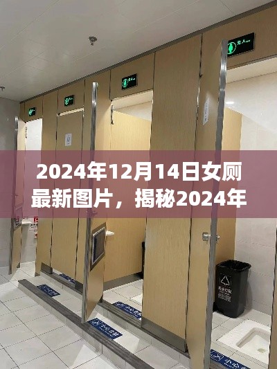 揭秘，女厕最新图片展示设计、功能与人因科技的融合（2024年12月14日）