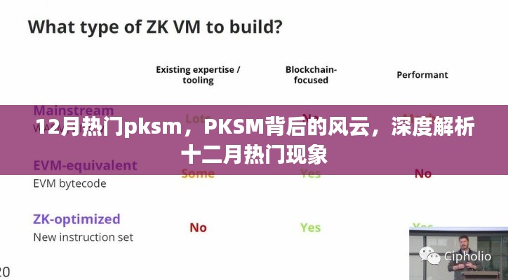 深度解析，十二月热门PKSM背后的风云与现象